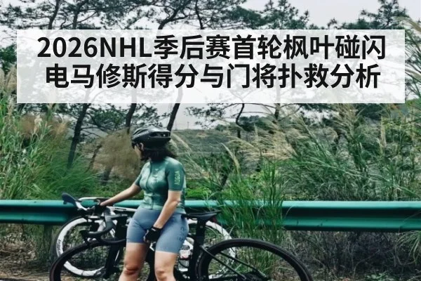 2026NHL季后赛首轮枫叶碰闪电马修斯得分与门将扑救分析